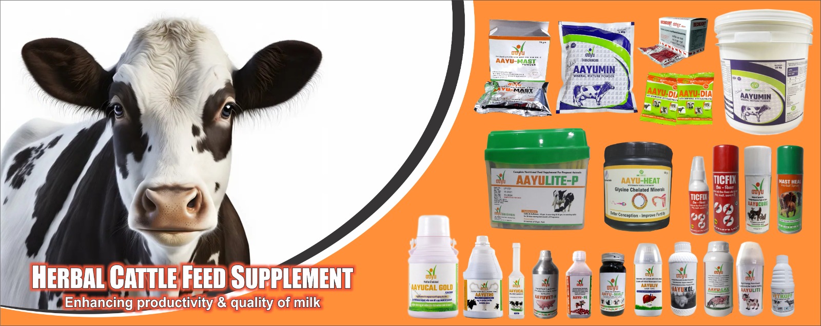 Ayurvedic Third Party Manufacturer in India