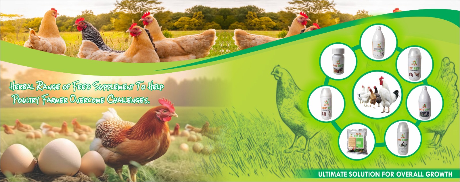 POULTRY FEED SUPPLEMENT