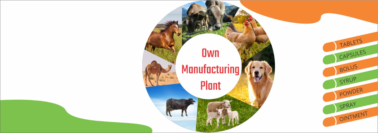 Ayurvedic Veterinary Third Party Manufacturer in India 
