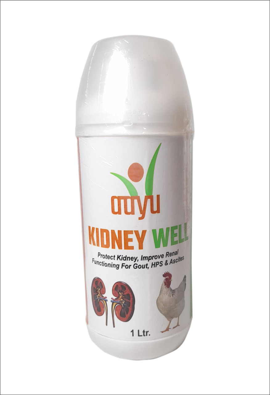 KIDNEY WELL